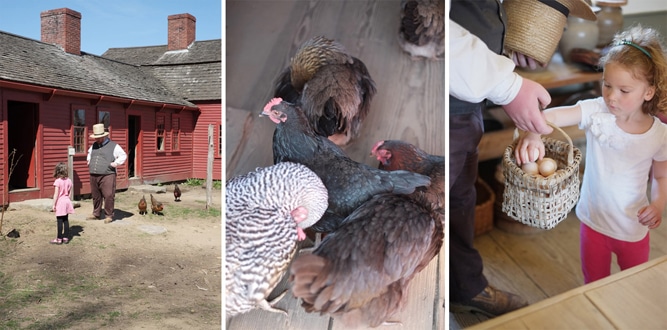 Farmer Robert Chumsae discusses chickens with Ella and helps Lucy handle eggs at the Freeman Farm.  The house was originally from Sturbridge circa 1810-1815 and was moved to its current location in 1956.