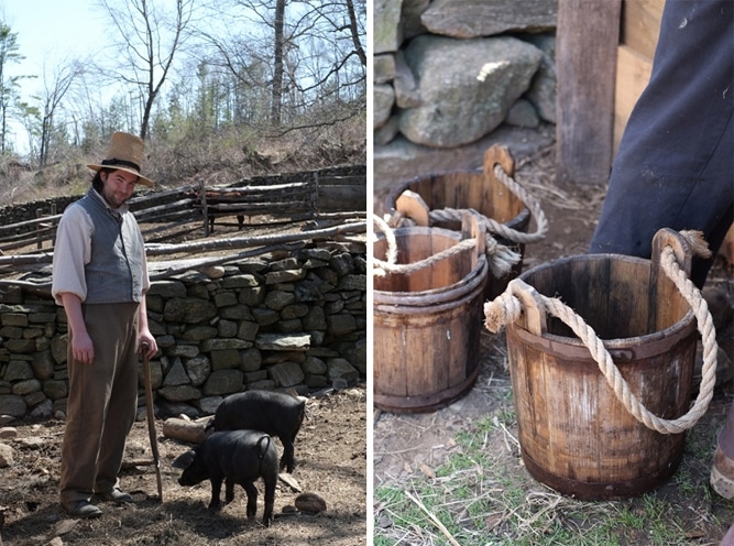 Farmer Nate Schlegel with 12 week old piglets at the Freeman Farm. Authentic wooden buckets filled with water for the livestock.