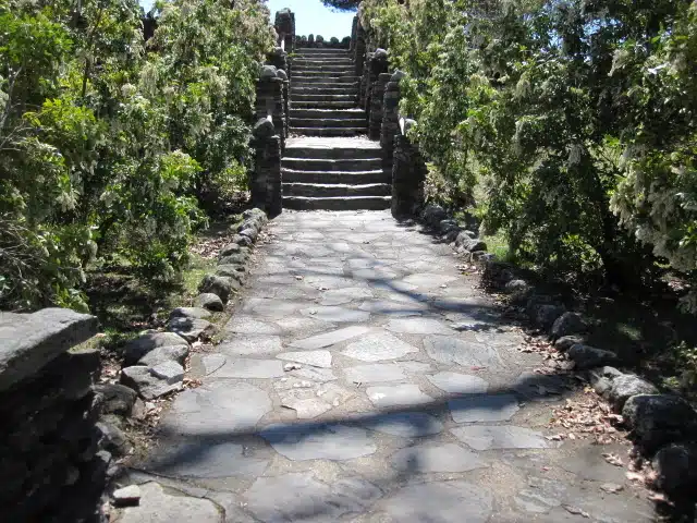 Stone pathway leading up to a set of stone steps surrounded by lush greenery.