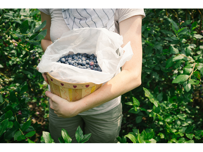 Vermont Life Photographs New England Today