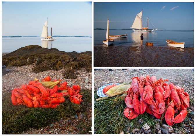 Fresh Lobsters Were Cooked Over Wood Fire on an Uninhabited Island.