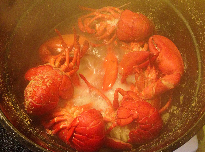 When cooking a lobster at home, opt for steam rather than boil.