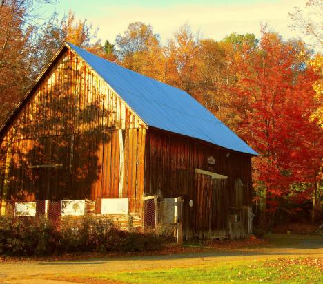 Barn In Autumn