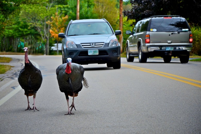 Morning Commute