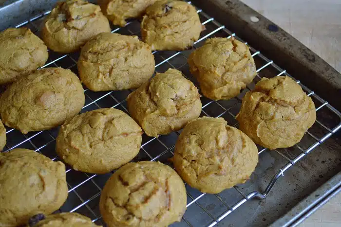 pumpkin cookies