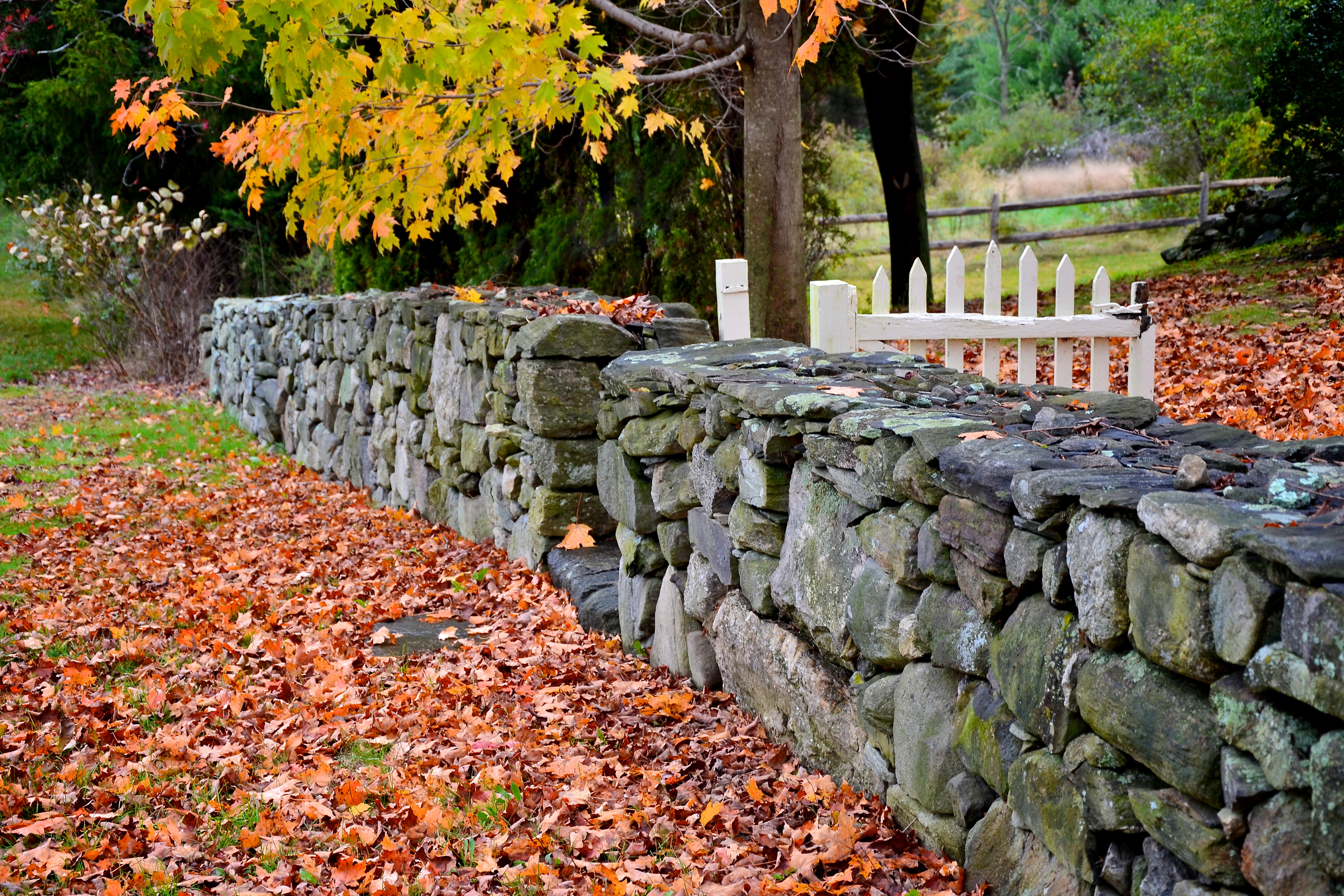 Coastal Rye, New Hampshire in Fall Featured Photographer Bob McGrath