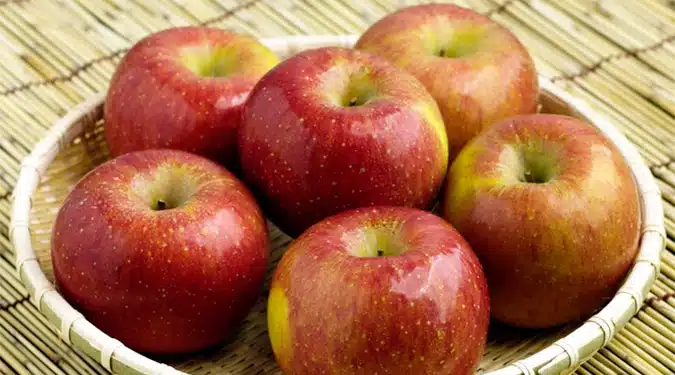 apple recipe