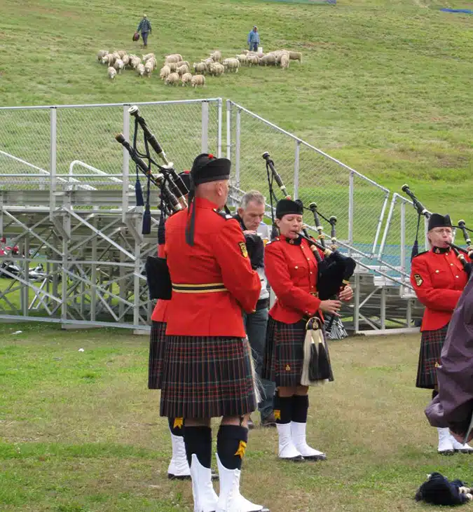 A group of people in red jackets and kilts play bagpipes on a grassy field while a shepherd and flock of sheep are seen in the background.