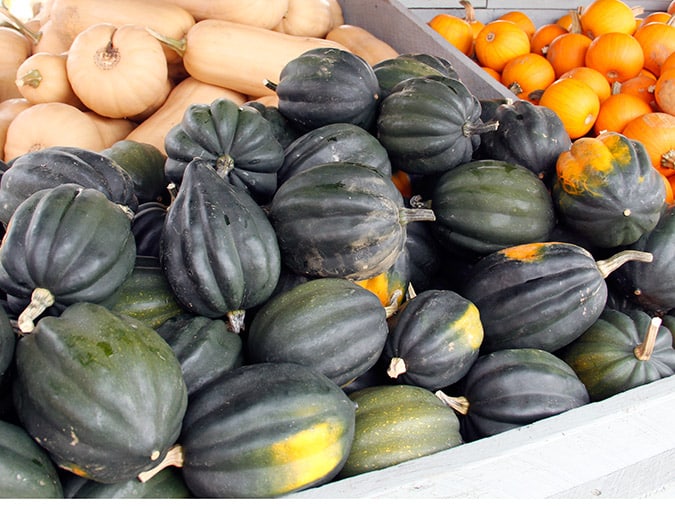 5 Winter Squash Winners | How to Identify, Prepare, Store, and Serve