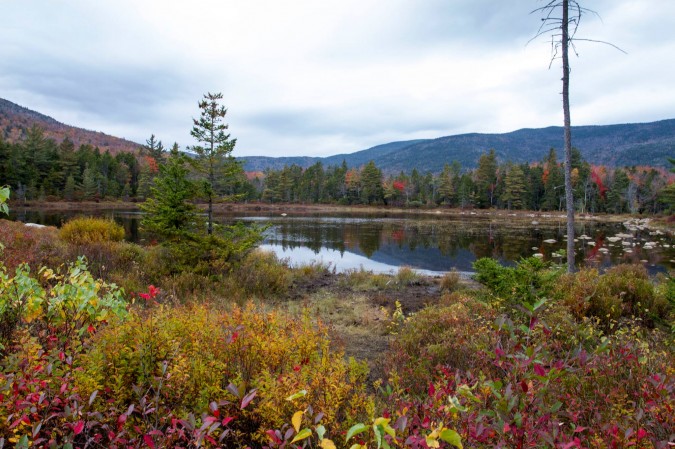 Lily Pond, Near the Kancamagus Pass this Past Week. High Elevations are Growing Increasingly Bare.
