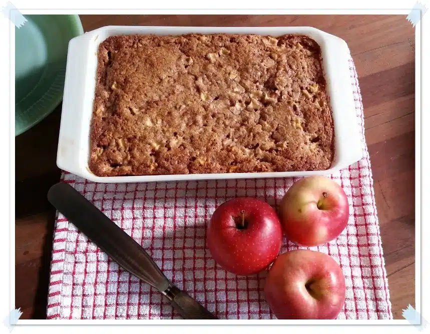 A baked apple cake in a white rectangular dish, placed on a red and white checkered cloth next to a knife and three whole apples.