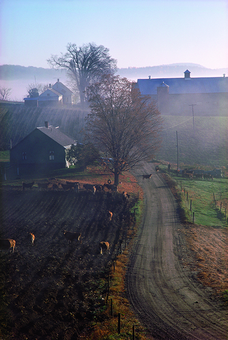 Almost immediately after moving to Vermont in the late 1960s, photographer Richard Brown felt pulled to the farms and farmers that defined a way of life that he’d been seeking since he was a kid. The early-morning light—Brown’s favorite light to photograph—catches Hez Somers’s farm in West Barnet, Vermont.