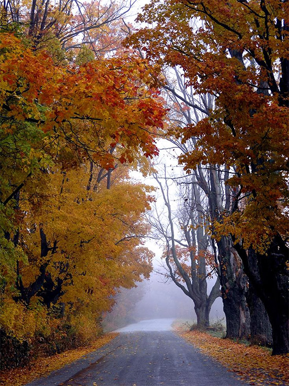 2005: Foggy Lane in Greenville, New Hampshire