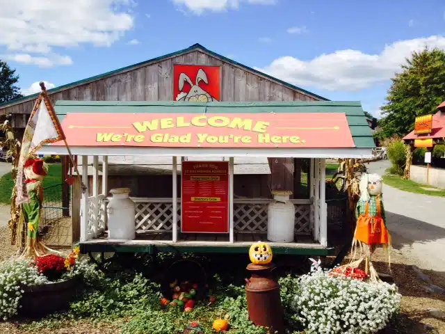 A wooden cart with a "Welcome We're Glad You're Here" sign stands in front of a barn adorned with a chicken logo. Decorative pumpkins, scarecrows, and flowers surround the display on a sunny day.