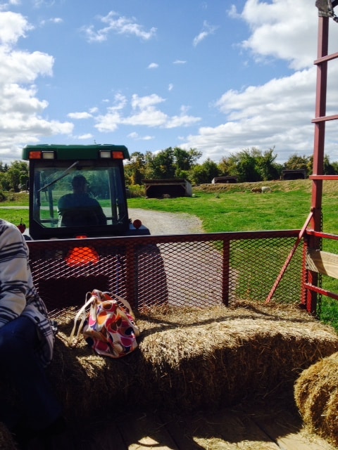 A tractor ride with Farmer Jack gives visitors a unique look at the farm. 