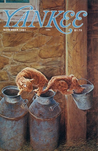 Yankee Cover: November 1981