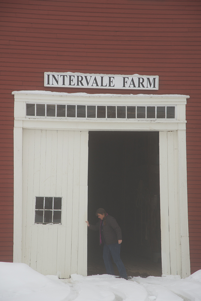 Farm owner Jan Wilcox is dwarfed by the large barn doors. Intervale Farm is quiet in winter, but has a large pumpkin and gourd operation in the autumn.