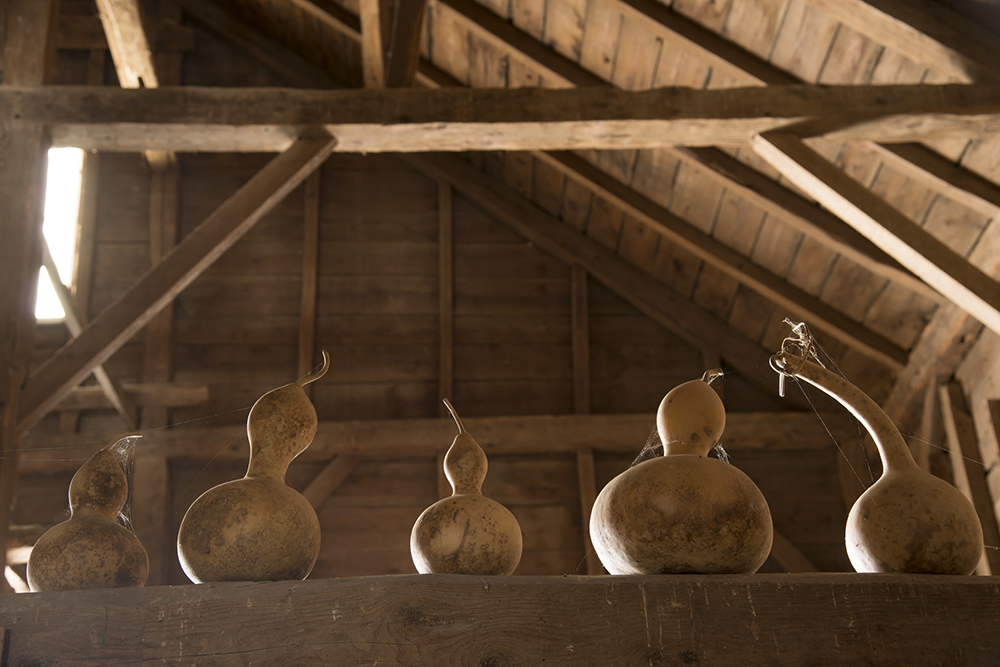 The ever growing collection of Jan's gourds line the beams in the interior of the barn.