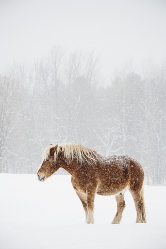 Mad River Valley | Vermont In Winter Photographs - New England Today