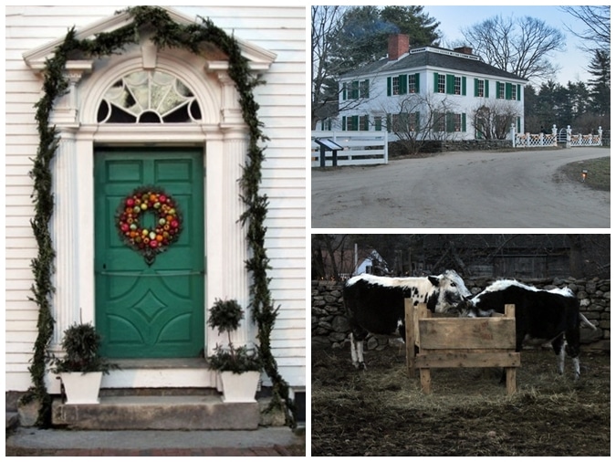 The c. 1796 Salem Towne House displays traditional mid 19th century holiday decorations--and even the cows enjoy the candlelit evening. 