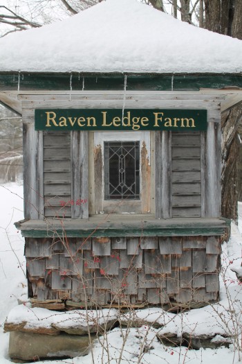  Linda Ward owns Raven Ledge Farm in Waterville, VT