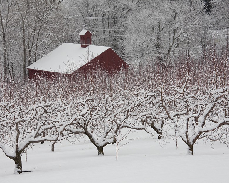 Matson Hill Orchard, Glastonbury, Connecticut.