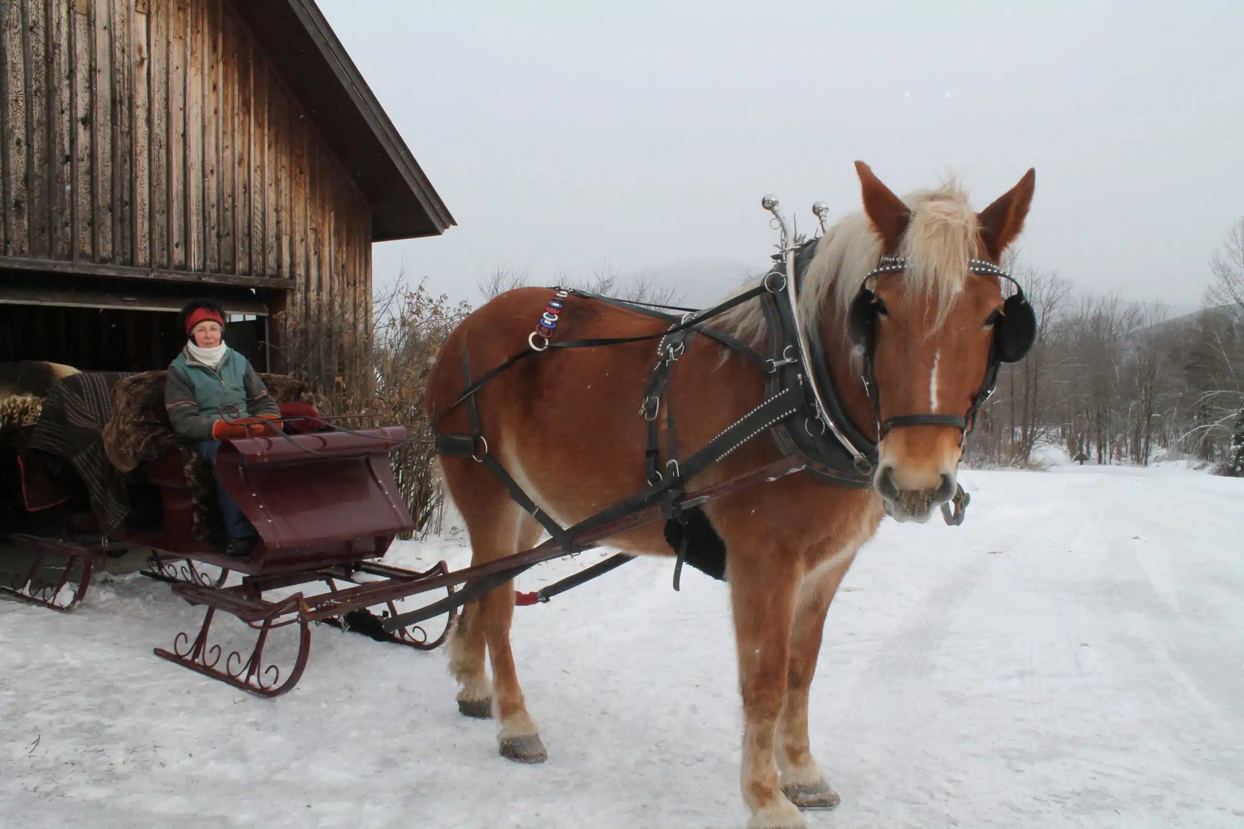 A person in winter clothing sits in a horse-drawn sleigh next to a wooden building. Snow covers the ground and trees are seen in the background.