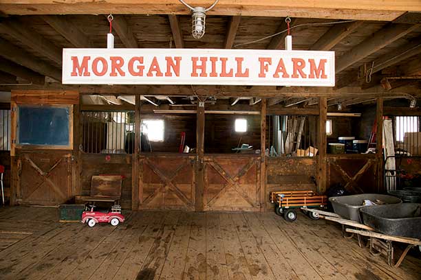Morgan Hill Farm
