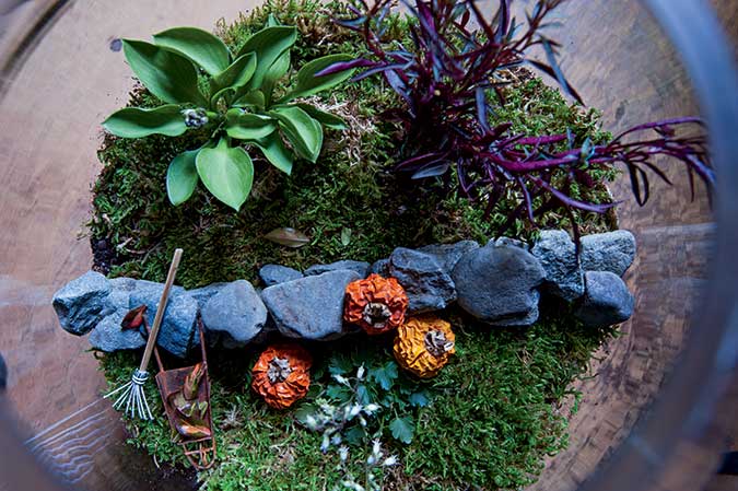 How to Make a Terrarium with Tovah Martin - Flower Magazine