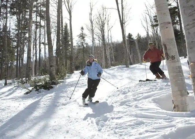 Two people skiing down a snow-covered trail in a forested area. The person in front is wearing a blue jacket, and the person behind is wearing a red jacket. Trees without leaves surround them.