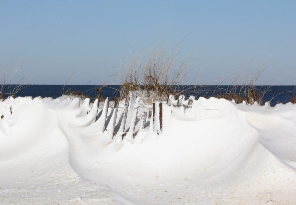 Winter on Cape Cod