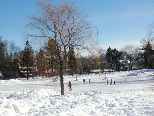 People ice skating on a snowy outdoor rink surrounded by trees and houses on a sunny day.
