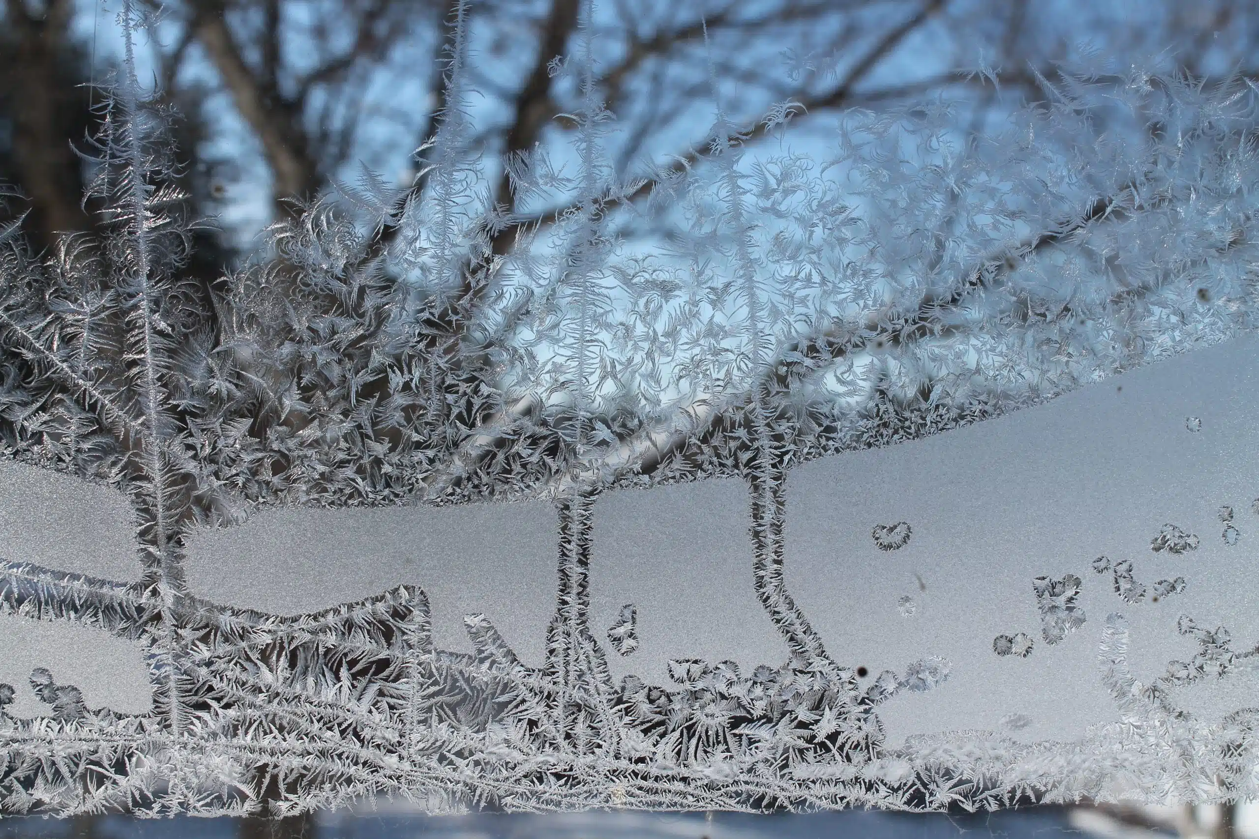 Frost patterns cover a window, with a clear view of tree branches and blue sky beyond.