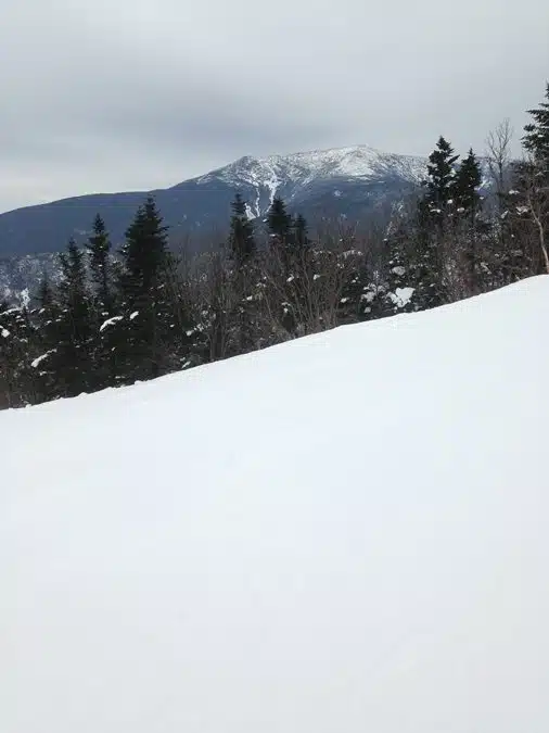 Snow-covered mountain slope is framed by evergreen trees in the foreground, with a partially snow-capped mountain range visible under an overcast sky in the background.