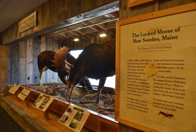 L.L. Bean in Freeport, Maine | The Flagship Store