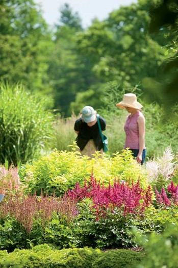 At Tower Hill’s “Systematic Garden” in Boylston, Massachusetts, 26 distinct plant families are represented, arranged according to botanists’ current understanding of their evolutionary relationships. 