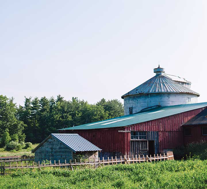 Behind the café on Abbott Hill are the fields and buildings of Temple–Wilton Community Farm, a dairy, meat, and vegetable operation.