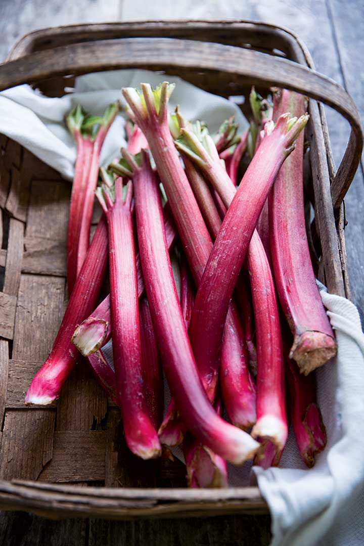 Rhubarb, Sweet and Tangy