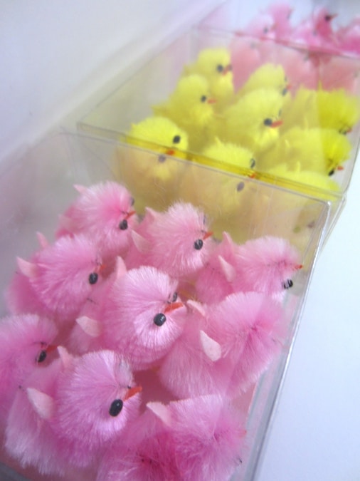 Boxes of small Easter chicks