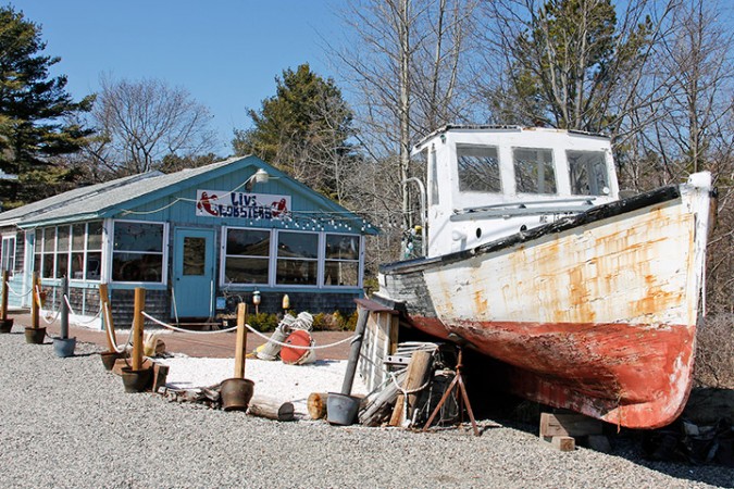 The Fisherman's Catch