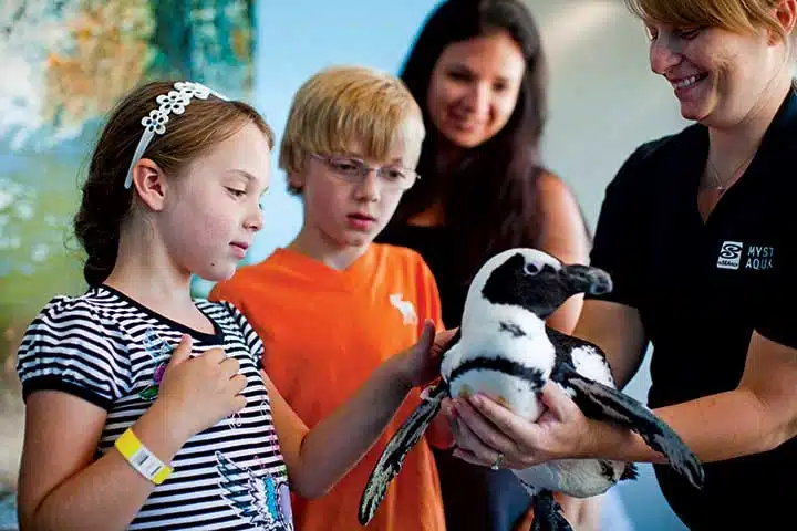 Mystic Aquarium