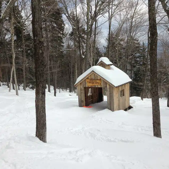 A small wooden covered bridge with a snow-covered roof stands in a snowy forest clearing.