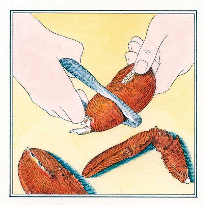 Lobster_Claws
