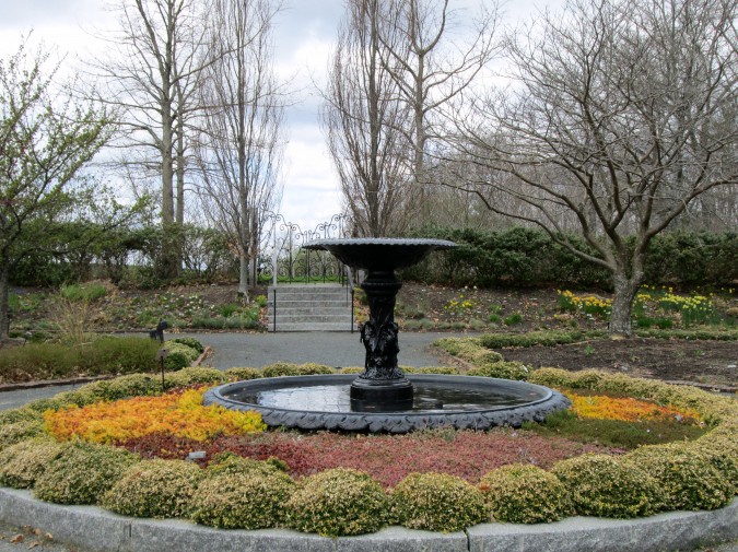 The fountain is a central focus in the Systematic Garden.