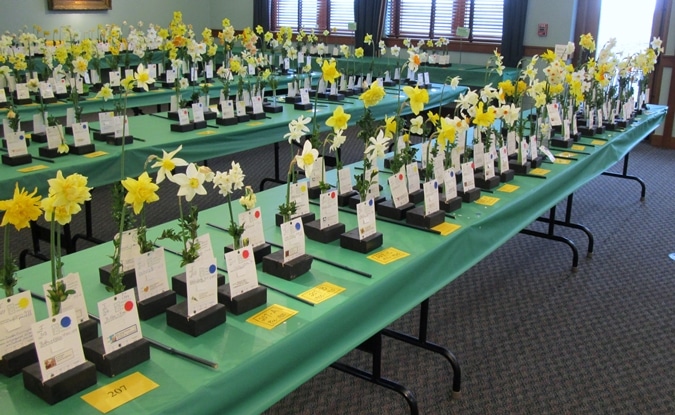 Tower Hill Daffodil Show