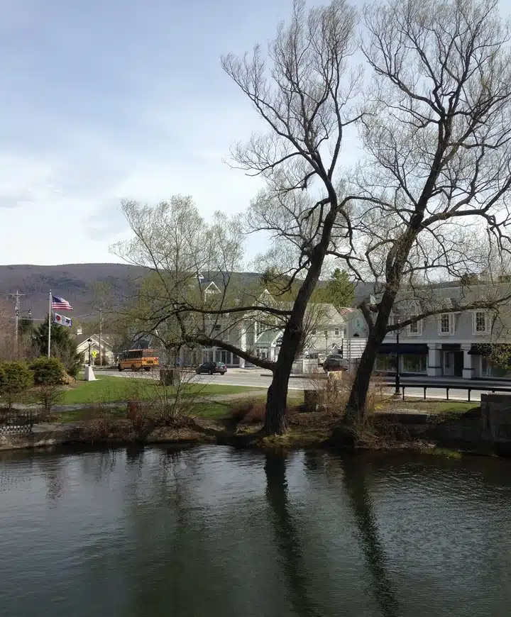 A small town scene with a bare tree by a river, buildings in the background, and an American flag on a flagpole. A school bus is parked near the buildings.