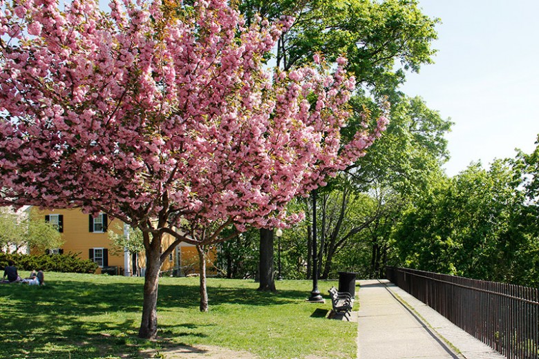 Prospect Terrace Park