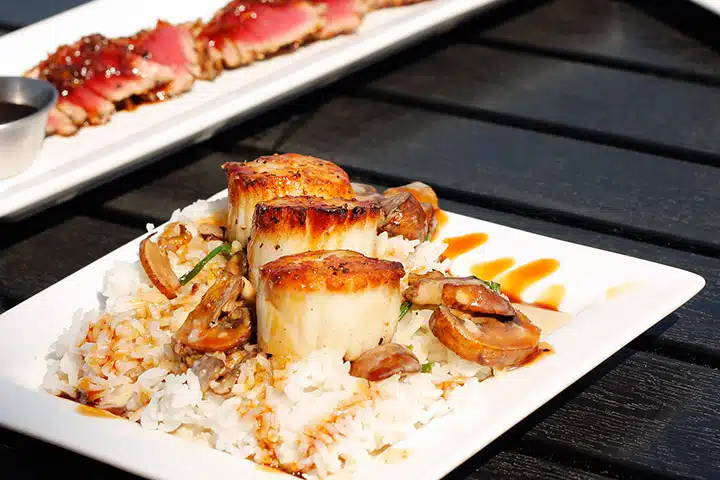 Plate of seared scallops on a bed of rice with mushrooms, topped with sauce. In the background, a plate of thinly sliced, rare-cooked meat with sauce is also visible. Both dishes are on a dark wooden table.