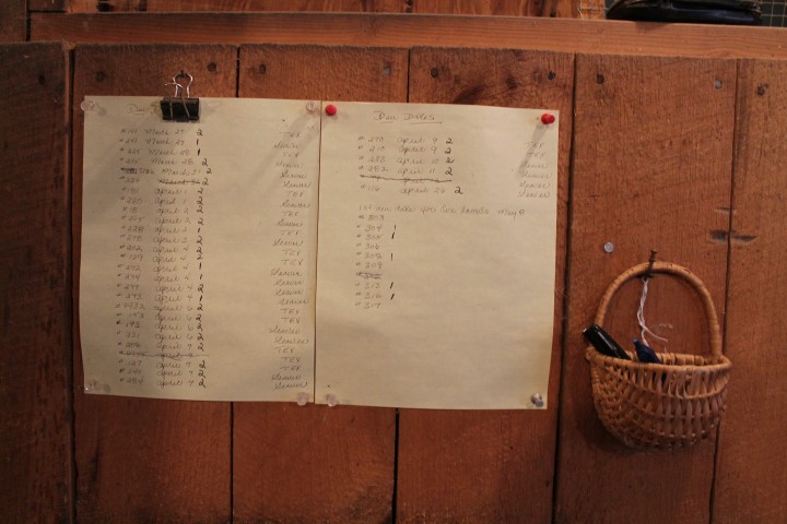 the lambing chart