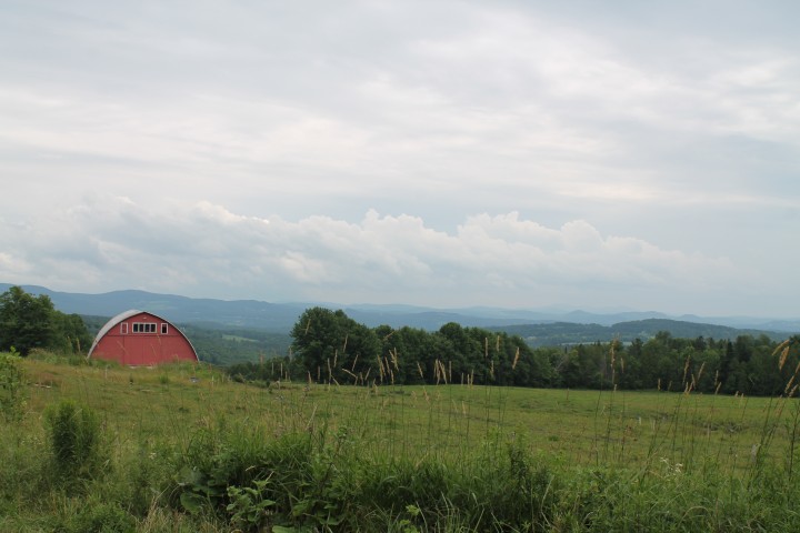 A glimpse of the Green Sea of Vermont